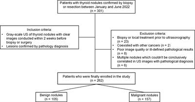 Ultrasonography-based radiomics and computer-aided diagnosis in thyroid nodule management: performance comparison and clinical strategy optimization